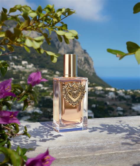 dolce gabbana cena perfum leith|dolce and gabbana perfume.